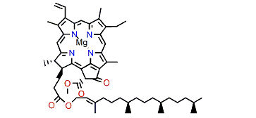 Chlorophyll a